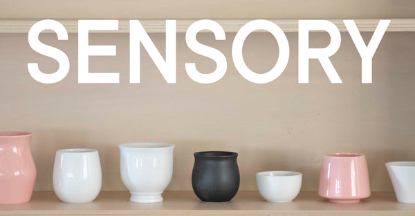 【Sensory Series】“感覚を信じて、味わいを理解する。” ORIGAMIの「Sensory Series」について。